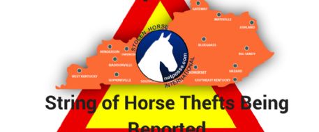 String of Horse Thefts Plague KY